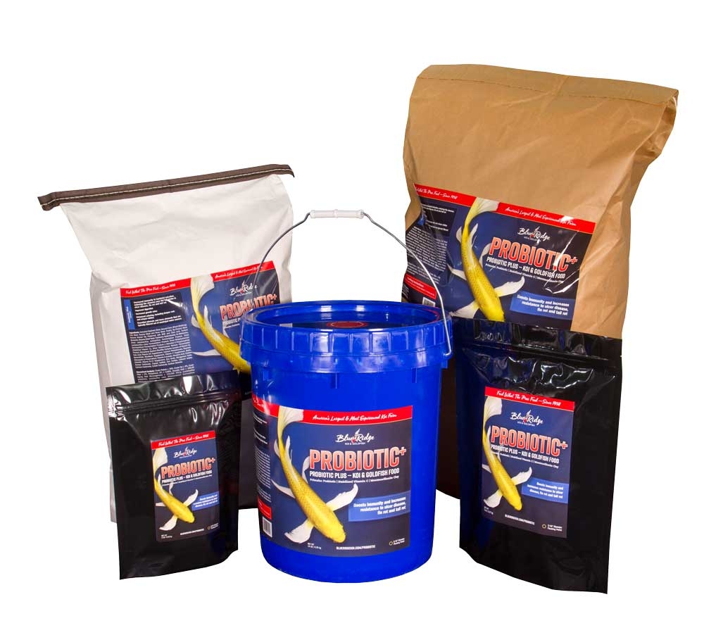 Fish Care image