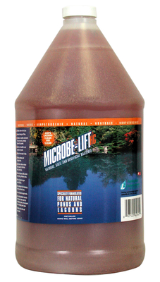 Microbe-Lift HC 1 Gallon | Microbe-Lift