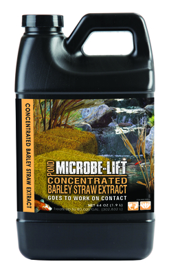 Microbe-Lift Barley Straw Concentrated Extract | Microbe-Lift