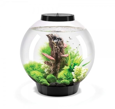 Oase biOrb Oase Indoor Aquatics and Atlantic Water Gardens Pond and Aquarium Supplies