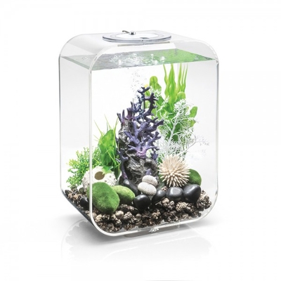 Oase biOrb Oase Indoor Aquatics and Atlantic Water Gardens Pond and Aquarium Supplies