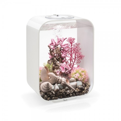 Oase biOrb Oase Indoor Aquatics and Atlantic Water Gardens Pond and Aquarium Supplies