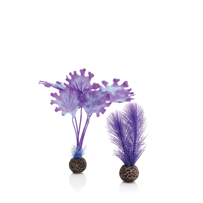 biOrb Accessories