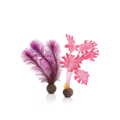 biOrb Accessories