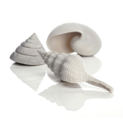 biOrb Sea Shells | biOrb Accessories