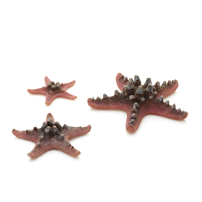 Pink biOrb Starfish Set | biOrb Accessories