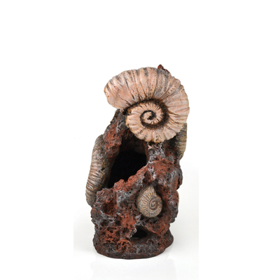 biOrb Ancient Conch Sculpture | biOrb Accessories