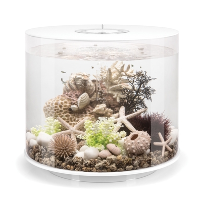 biOrb TUBE 35 Aquarium - 9.2 gallon 45969 | biOrb Aquariums