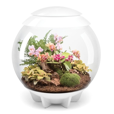 biOrbAIR 60 LED Terrarium