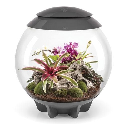 biOrbAIR 60 LED Terrarium - 16 gallon Grey 46148 | Terrariums