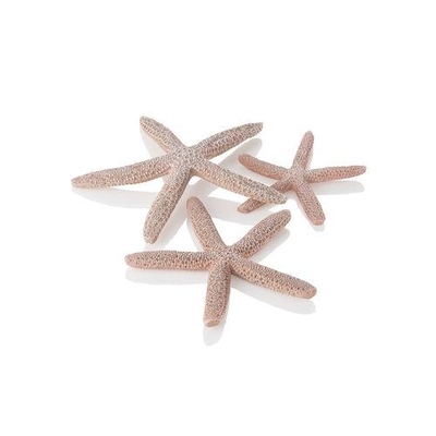 biOrb Starfish Set 3 natural 48357 | biOrb Accessories