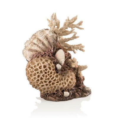 biOrb Coral-Shells Sculpture natural 48360 | biOrb Accessories