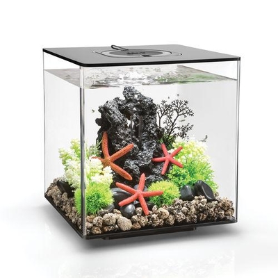 biOrb CUBE 30 Aquarium - 8 gallon LED Black 54484 | biOrb Aquariums