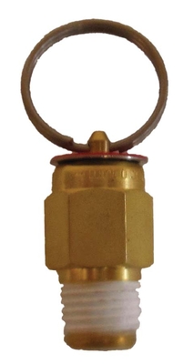 PR10 - PR25 EasyPro 10 & 25 PSI Relief Valves | EasyPro