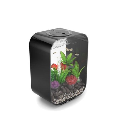 Oase biOrb Oase Indoor Aquatics and Atlantic Water Gardens Pond and Aquarium Supplies