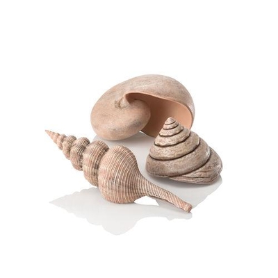 biOrb Sea Shell Set 3 natural | biOrb Accessories