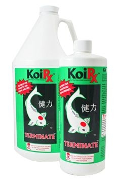 Aqua Meds TERMINATE koi treatment for pond parasites | Aqua Meds