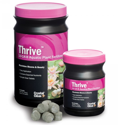 Thrive by CrystalClear | Crystal Clear