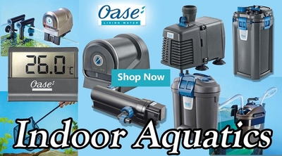 Image Oase Indoor Aquatics