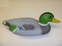 Image Floating Mallard Male Duck
