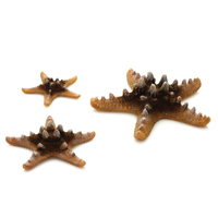 Image Natural biOrb Starfish Set