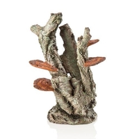 Image biOrb Fungus on Bark Sculpture 48363
