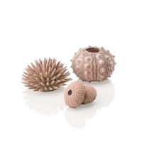 Image biOrb Sea Urchins Set 3 natural  48366