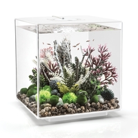 Image biOrb CUBE 60 Aquarium with MCR - 16 gallon White 54536