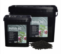 Image Crystal Clear Polish/ Activated Carbon CC090