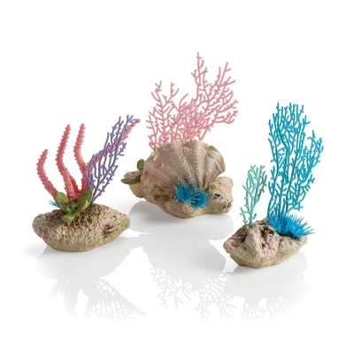 Image biOrb Seychelles Coral Fans & Shells Set of 3  72676