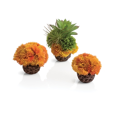 Image biOrb Seychelles Coral Ball Set of 3 orange  73539