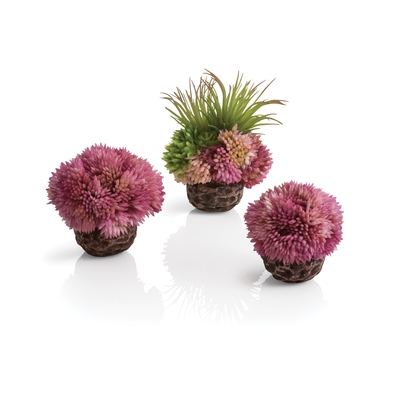 Image biOrb Seychelles Coral Ball Set of 3 purple 73540